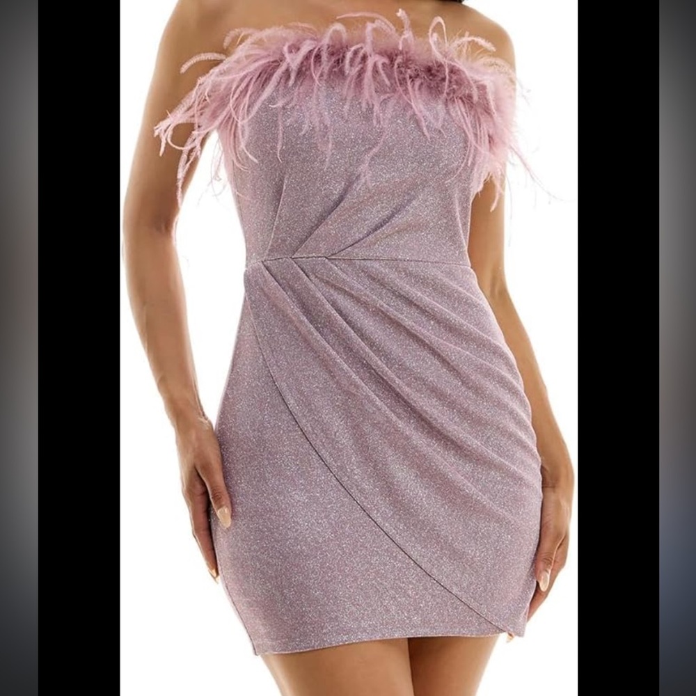 Pink mini with feathers. Purchased from Dillards.